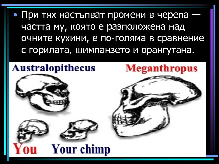  • При тях настъпват промени в черепа — частта му, която е разположена