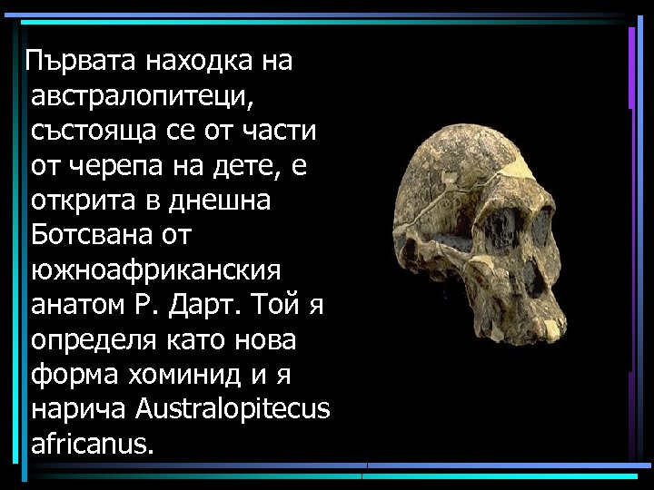 Първата находка на австралопитеци, състояща се от части от черепа на дете, е открита