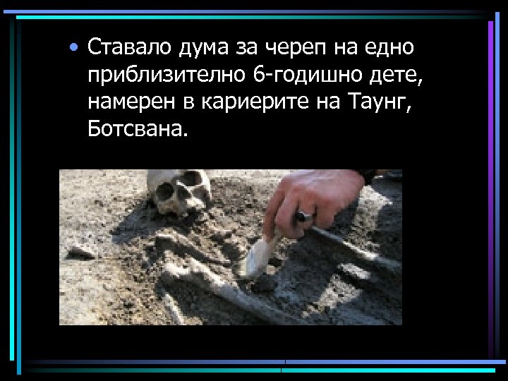  • Ставало дума за череп на едно приблизително 6 -годишно дете, намерен в