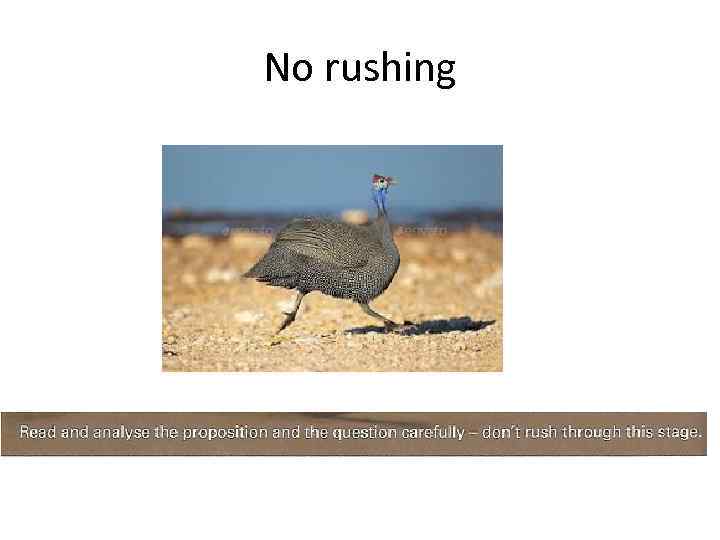 No rushing 