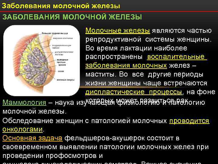 Заболевание молочных