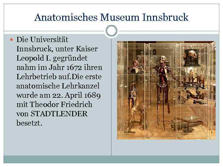 Anatomisches Museum Innsbruck Die Universität Innsbruck, unter Kaiser Leopold I. gegründet nahm im Jahr