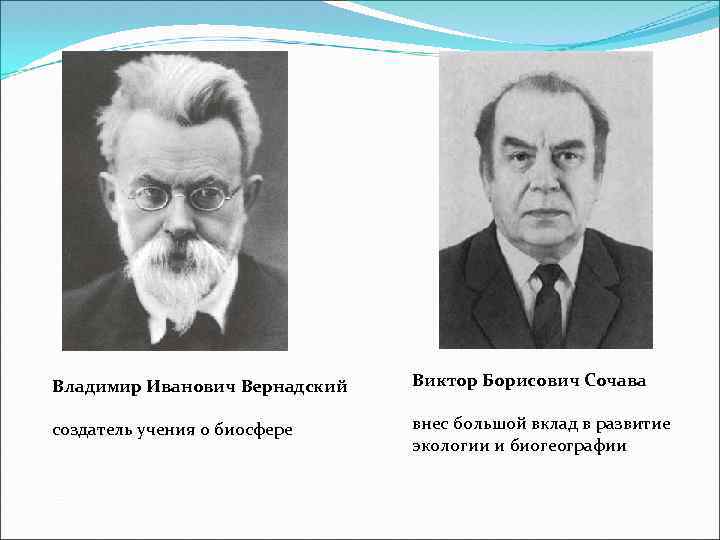 Владимир Иванович Вернадский создатель учения о биосфере Виктор Борисович Сочава внес большой вклад в