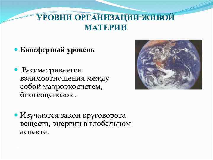 Уровни развития живой. Биосферный уровень организации. Биосферный уровень организации жизни. Биосферный уровень жизни. Биосферный уровень организации живой материи.