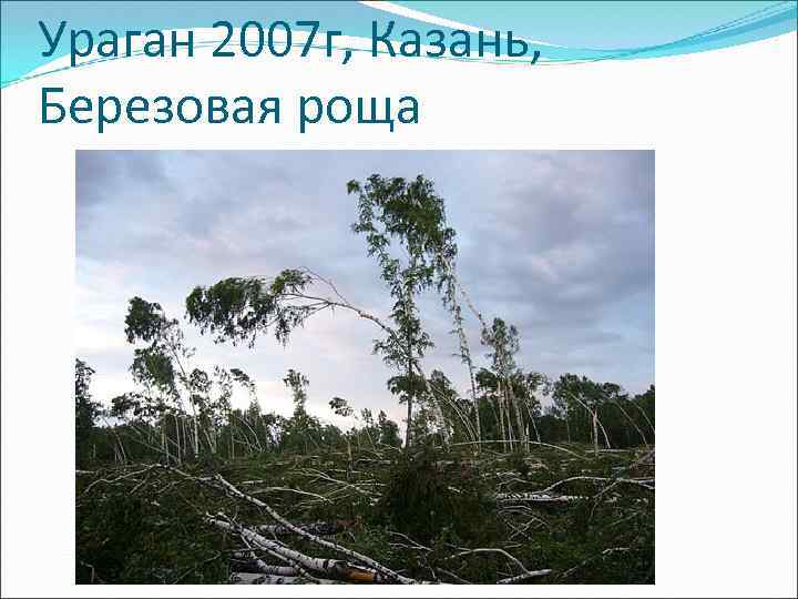 Ураган 2007 г, Казань, Березовая роща 