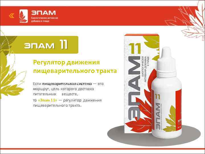 Регулятор движения пищеварительного тракта Если пищеварительная система — это маршрут, цель которого доставка питательных