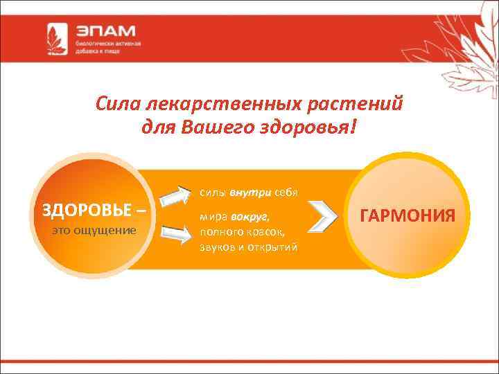 Сила лекарственных растений для Вашего здоровья! ЗДОРОВЬЕ – это ощущение силы внутри себя внутри