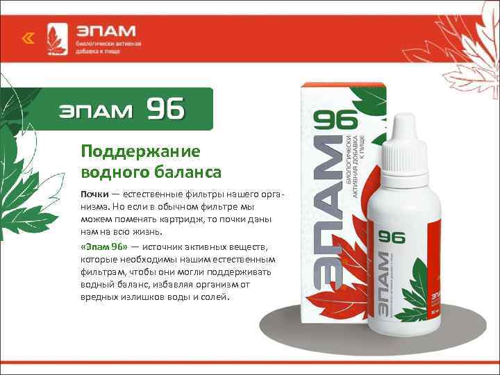 Поддержание водного баланса Почки — естественные фильтры нашего организма. Но если в обычном фильтре