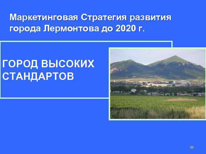 Маркетинговая Стратегия развития города Лермонтова до 2020 г. ГОРОД ВЫСОКИХ СТАНДАРТОВ 55 