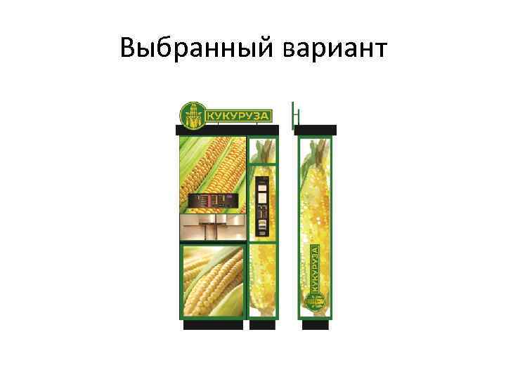 Выбранный вариант 