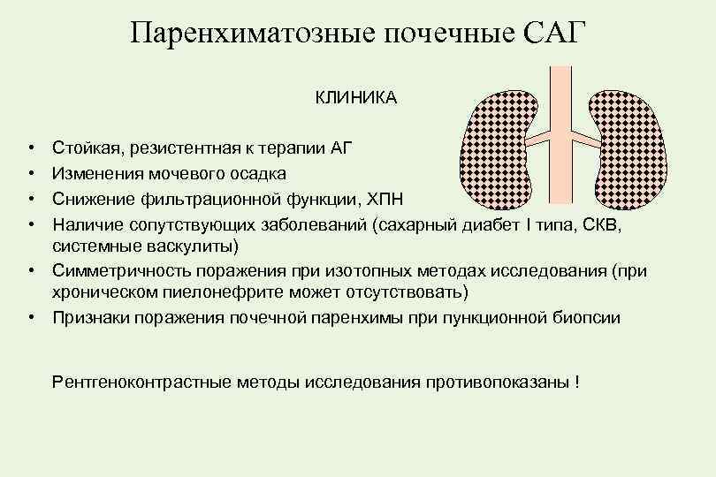 Паренхиматозные почечные САГ КЛИНИКА • • Стойкая, резистентная к терапии АГ Изменения мочевого осадка