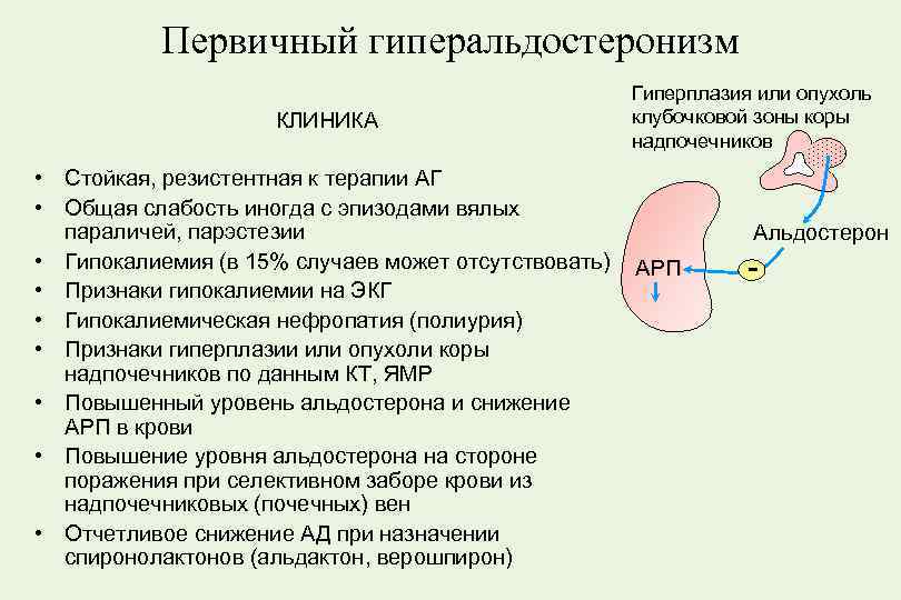 Первичный гиперальдостеронизм презентация