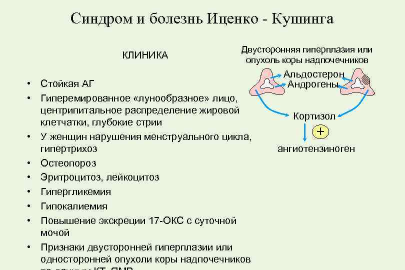 Болезнь и синдром иценко кушинга отличие. Патогенез АГ при синдроме Иценко Кушинга. Патогенез артериальной гипертензии при болезни Иценко Кушинга. Артериальная гипертензия при болезни Иценко-Кушинга.