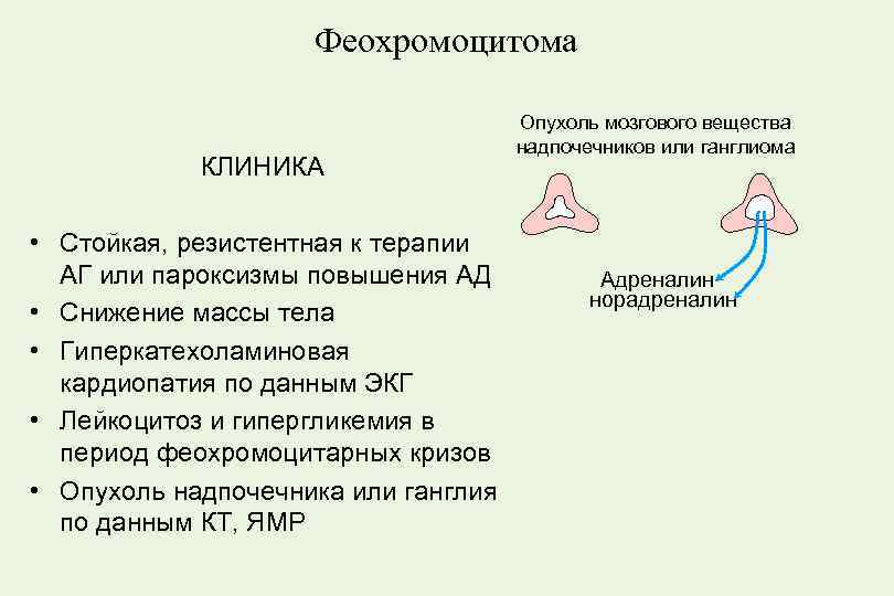 Феохромоцитома план обследования