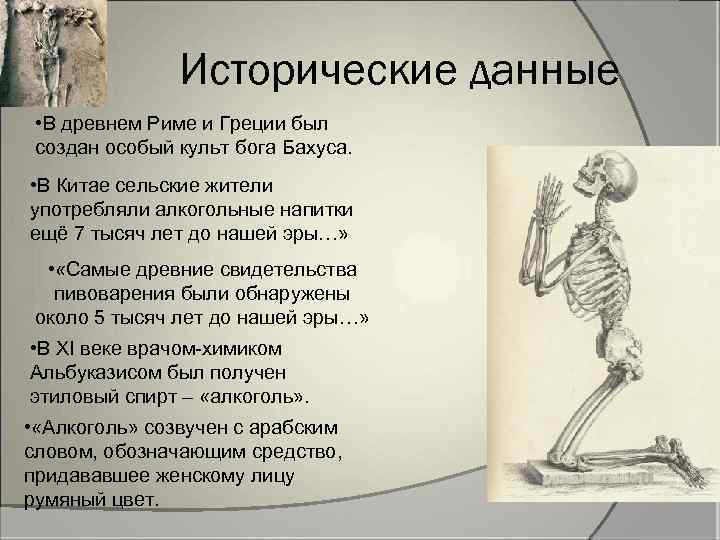 Исторические данные • В древнем Риме и Греции был создан особый культ бога Бахуса.