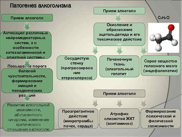 Патогенез алкоголизма Прием алкоголя C 2 H 4 O Прием алкоголя Активация различных нейромедиаторных