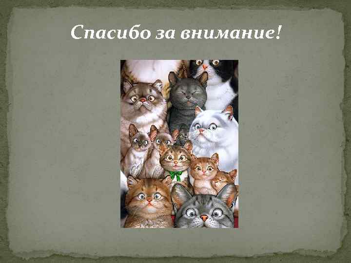 Спасибо за внимание! 