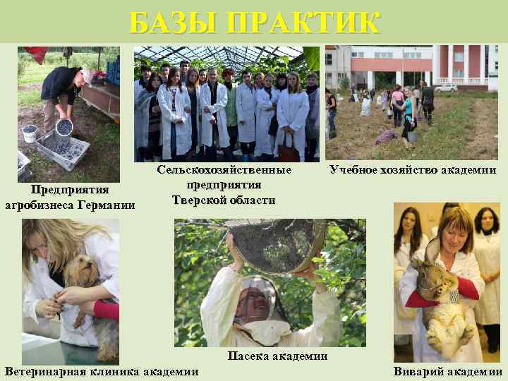 БАЗЫ ПРАКТИК Предприятия агробизнеса Германии Сельскохозяйственные предприятия Тверской области Учебное хозяйство академии Пасека академии