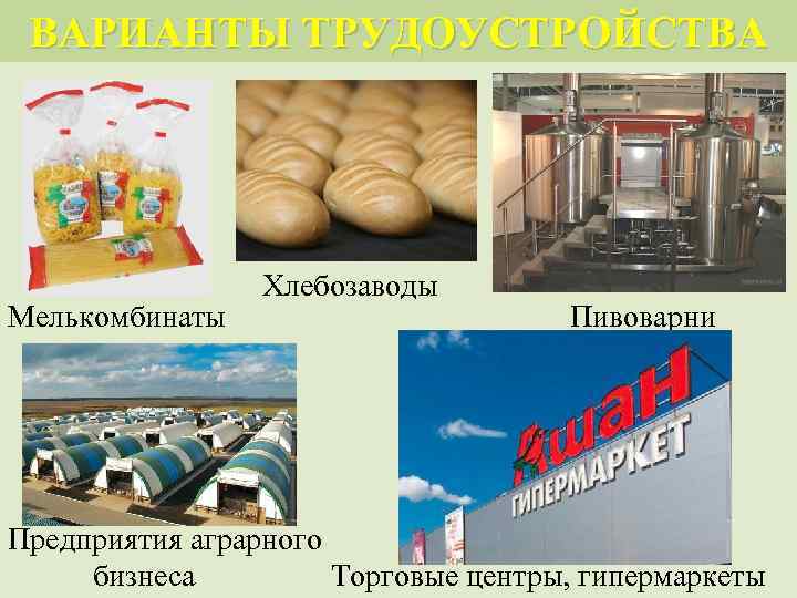 ВАРИАНТЫ ТРУДОУСТРОЙСТВА Мелькомбинаты Хлебозаводы Пивоварни Предприятия аграрного бизнеса Торговые центры, гипермаркеты 