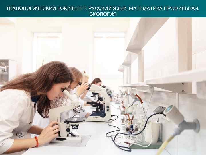 ТЕХНОЛОГИЧЕСКИЙ ФАКУЛЬТЕТ: РУССКИЙ ЯЗЫК, МАТЕМАТИКА ПРОФИЛЬНАЯ, БИОЛОГИЯ 