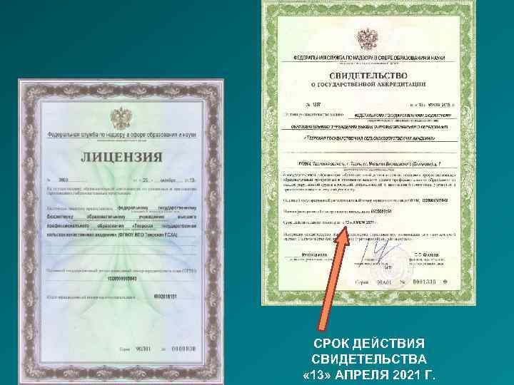 СРОК ДЕЙСТВИЯ СВИДЕТЕЛЬСТВА « 13» АПРЕЛЯ 2021 Г. 
