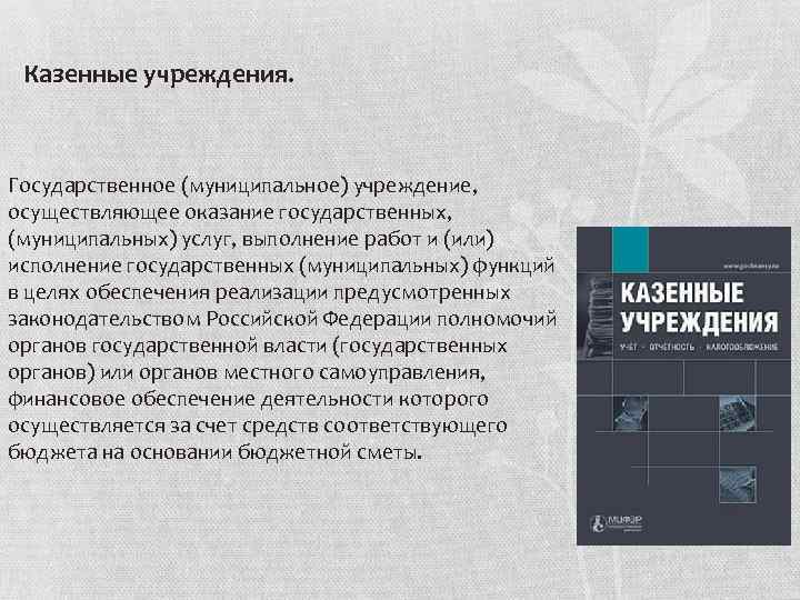 Казенные учреждения. Государственное (муниципальное) учреждение, осуществляющее оказание государственных, (муниципальных) услуг, выполнение работ и (или)