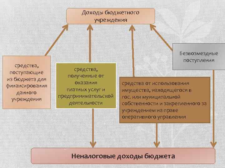 Бюджетное учреждение деятельность