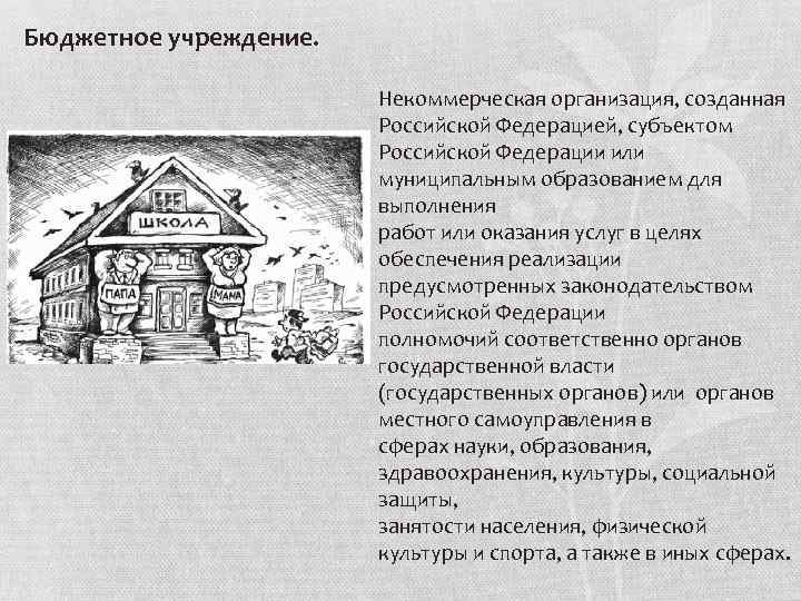 Бюджетное учреждение. Некоммерческая организация, созданная Российской Федерацией, субъектом Российской Федерации или муниципальным образованием для