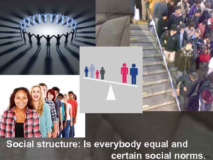 Social structure: Is everybody equal and certain social norms. 