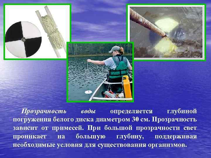 Прозрачность воды определяется глубиной погружения белого диска диаметром 30 см. Прозрачность зависит от примесей.