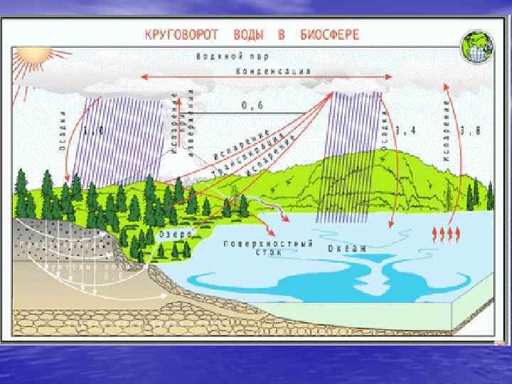 Круговорот водорода в биосфере схема