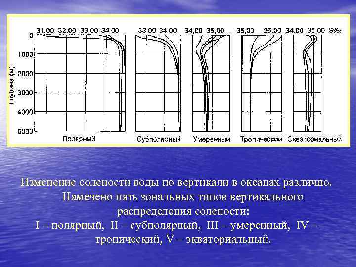 Изменение солености. Типы вертикального распределения солености (по л. к. Давыдову и др.). Типы распределения солености. Изменение солености воды. Типы вертикального распределения солености.