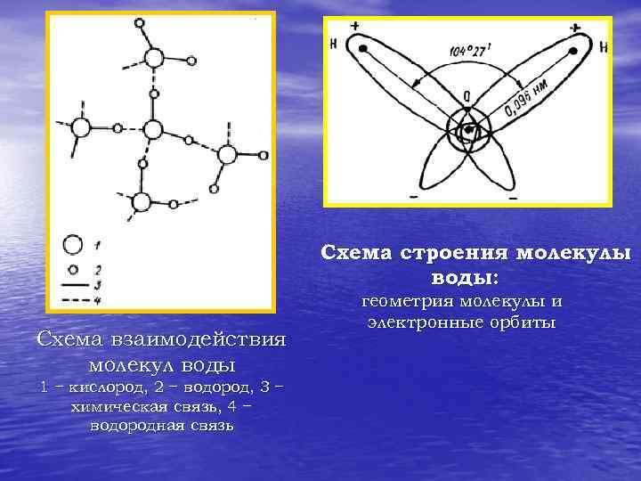 Молекула воды схема