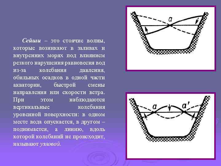 Сейши – это стоячие волны, которые возникают в заливах и внутренних морях под влиянием