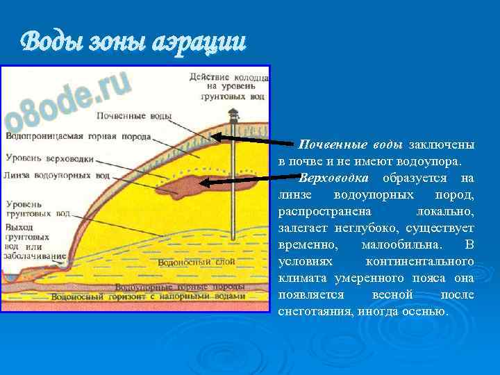 Воды зоны аэрации Почвенные воды заключены в почве и не имеют водоупора. Верховодка образуется