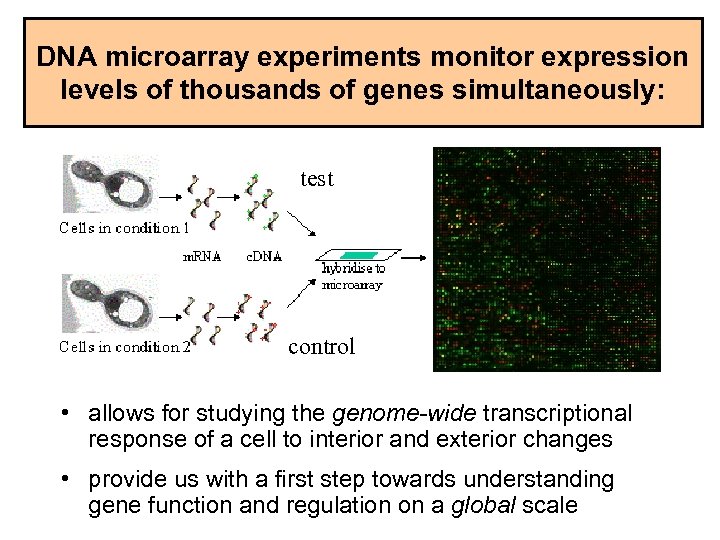 DNA microarray experiments monitor expression levels of thousands of genes simultaneously: test control •