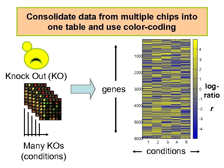 Consolidate data from multiple chips into one table and use color-coding 4 1000 3