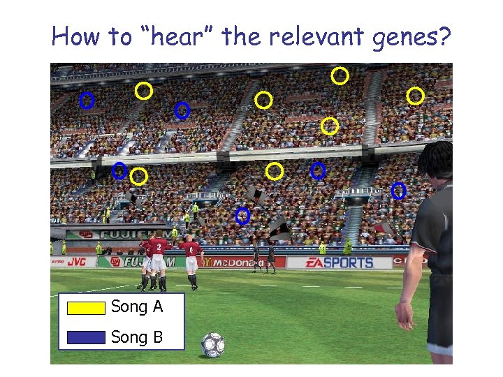 How to “hear” the relevant genes? Song A Song B 