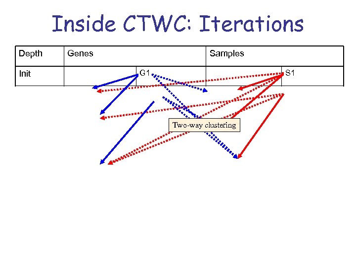 Inside CTWC: Iterations Depth Genes Samples G 1 Init S 1 1 G 1(S
