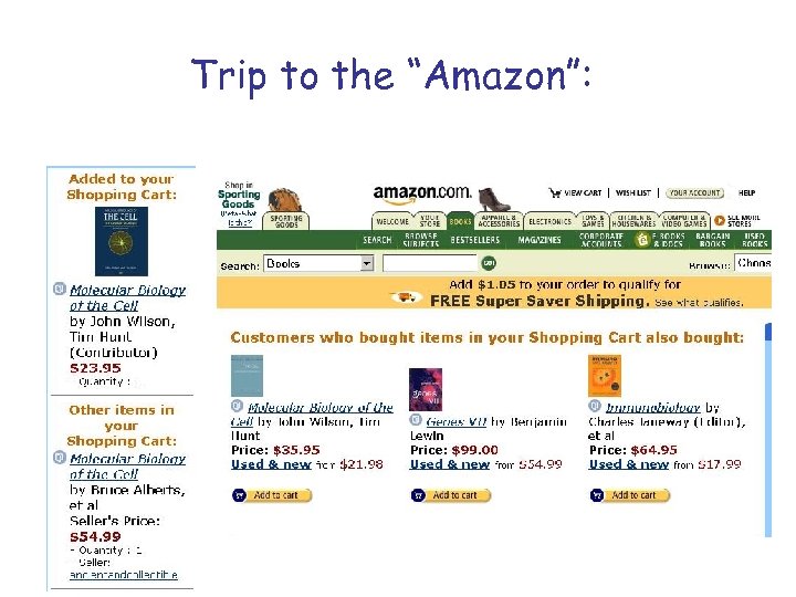 Trip to the “Amazon”: 