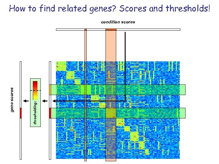 How to find related genes? Scores and thresholds! thresholding: gene scores condition scores 