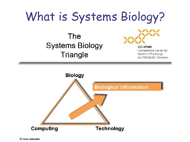 What is Systems Biology? 