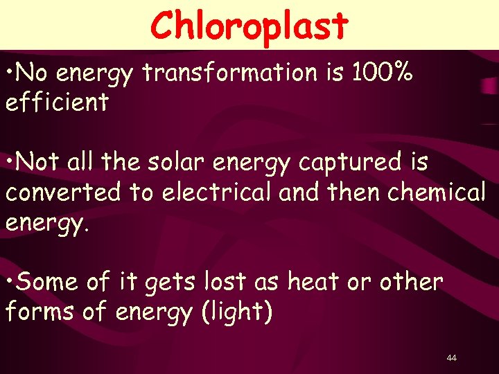 Chloroplast • No energy transformation is 100% efficient • Not all the solar energy