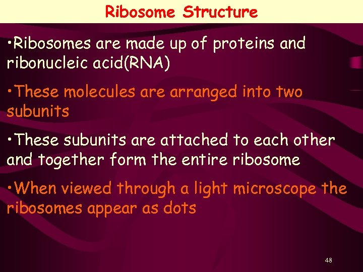 Ribosome Structure • Ribosomes are made up of proteins and ribonucleic acid(RNA) • These