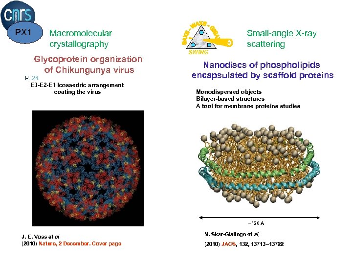 PX 1 Macromolecular crystallography Glycoprotein organization of Chikungunya virus P. 24 E 3 -E