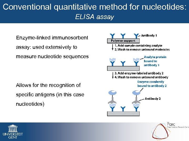 Conventional quantitative method for nucleotides: ELISA assay Enzyme-linked immunosorbent assay: used extensively to measure
