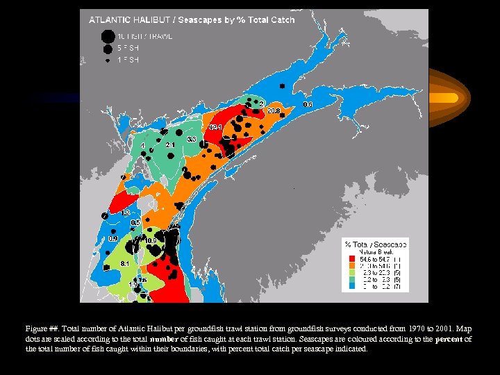Figure ##. Total number of Atlantic Halibut per groundfish trawl station from groundfish surveys