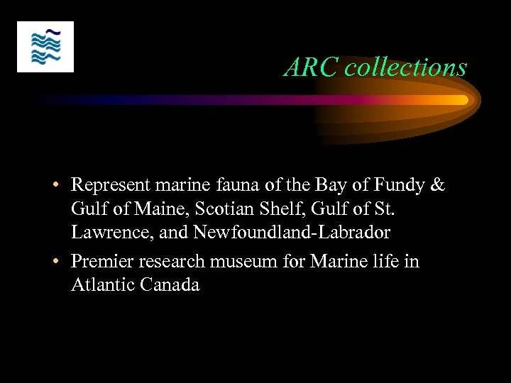 ARC collections • Represent marine fauna of the Bay of Fundy & Gulf of