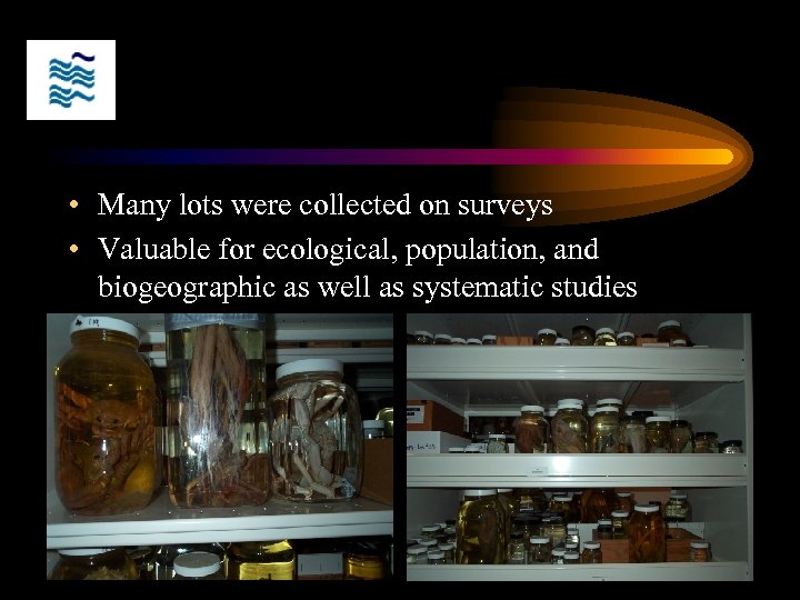  • Many lots were collected on surveys • Valuable for ecological, population, and
