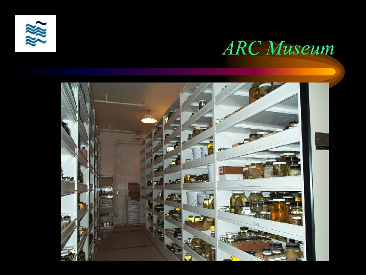 ARC Museum 